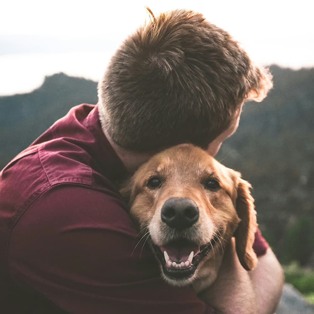 Man and dog